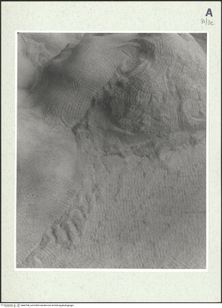 Vorderseite von bh447996_recto