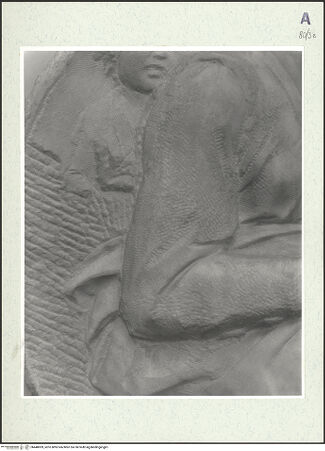 Vorderseite von bh448009_recto