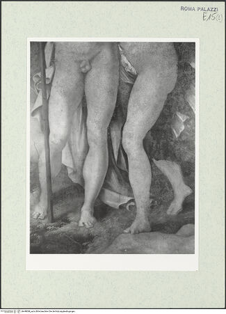 Vorderseite von bh448088_recto