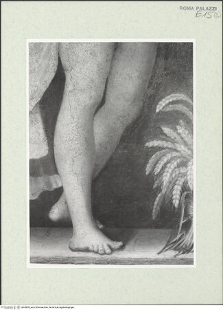 Vorderseite von bh448099_recto