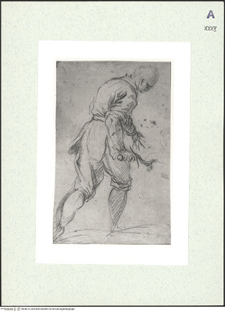 Vorderseite von bh448219_recto