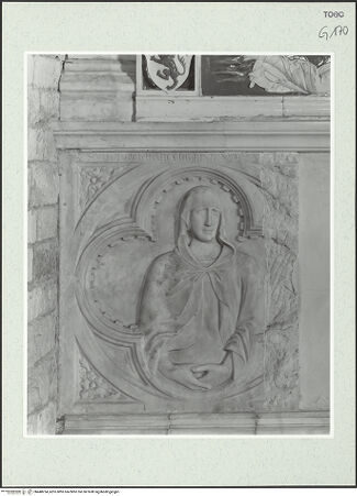 Vorderseite von bh448254_recto