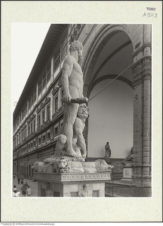 Vorderseite von bh448366_recto