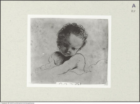 Vorderseite von bh448474_recto