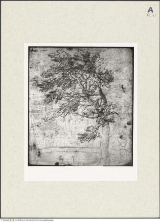 Vorderseite von bh448480_recto