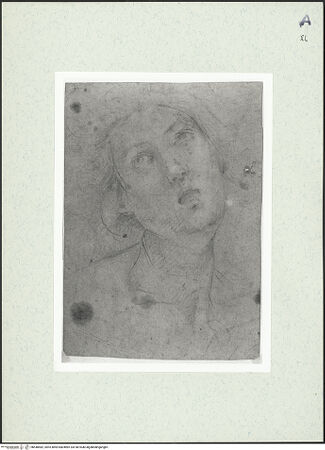 Vorderseite von bh448482_recto