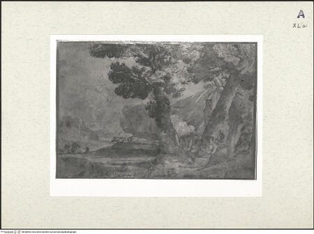 Vorderseite von bh448485_recto