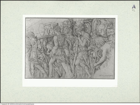 Vorderseite von bh448486_recto