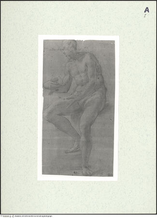 Vorderseite von bh448490_recto