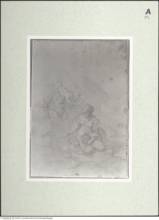 Vorderseite von bh448511_recto