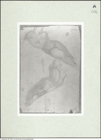 Vorderseite von bh448517_recto