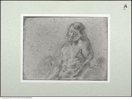 Vorderseite von bh448519_recto