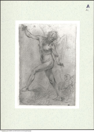 Vorderseite von bh448521_recto