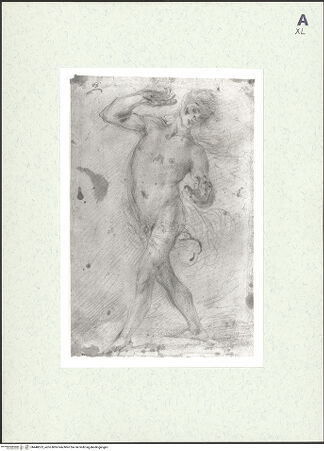 Vorderseite von bh448523_recto