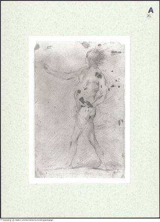 Vorderseite von bh448527_recto