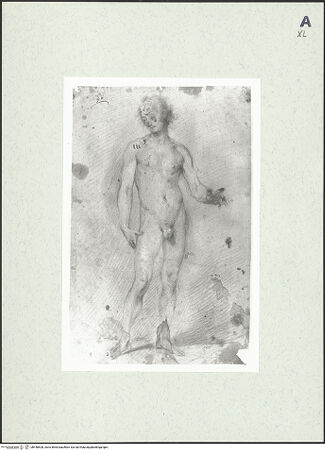 Vorderseite von bh448528_recto