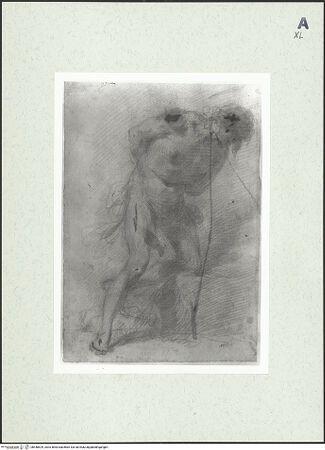 Vorderseite von bh448529_recto