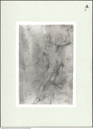 Vorderseite von bh448530_recto