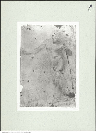 Vorderseite von bh448532_recto