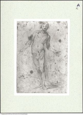 Vorderseite von bh448533_recto