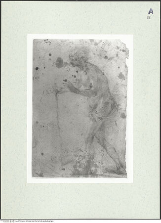 Vorderseite von bh448534_recto