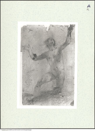 Vorderseite von bh448535_recto