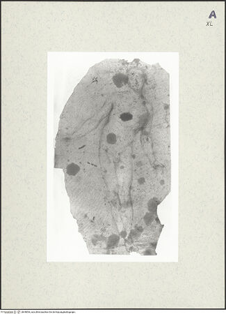 Vorderseite von bh448536_recto