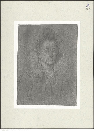 Vorderseite von bh448538_recto