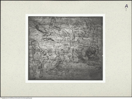 Vorderseite von bh448544_recto