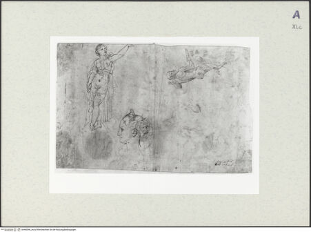 Vorderseite von bh448546_recto