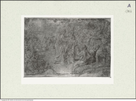 Vorderseite von bh448553_recto