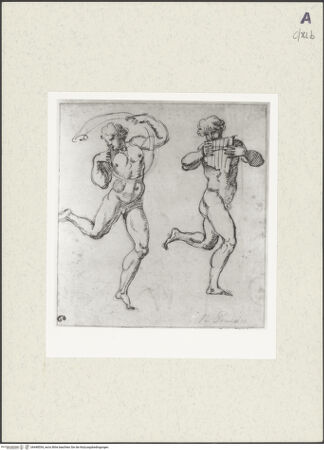 Vorderseite von bh448554_recto