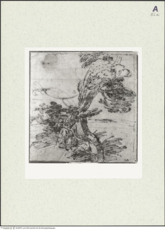 Vorderseite von bh448557_recto