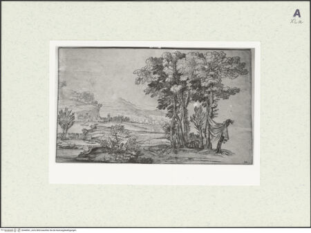 Vorderseite von bh448561_recto