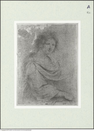 Vorderseite von bh448575_recto