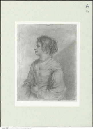 Vorderseite von bh448577_recto