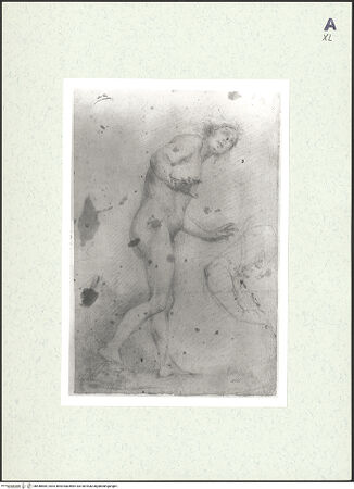 Vorderseite von bh448585_recto