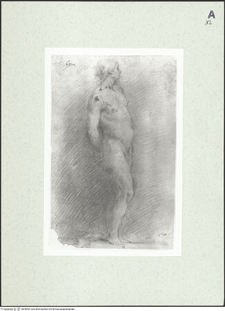 Vorderseite von bh448594_recto