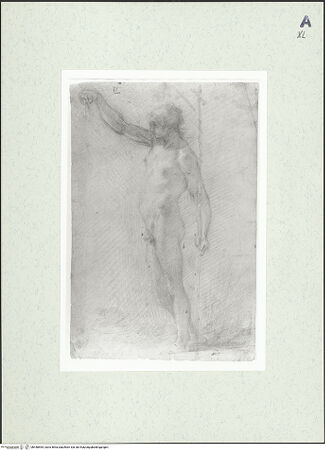 Vorderseite von bh448595_recto