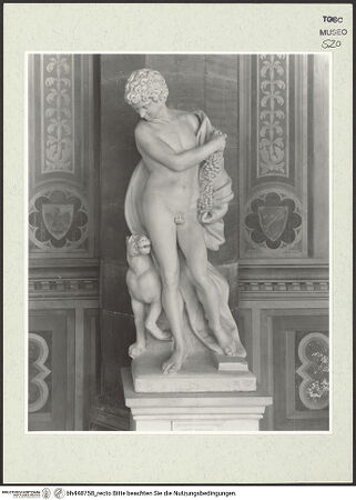 Vorderseite von bh448758_recto