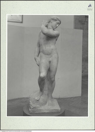 Vorderseite von bh448766_recto