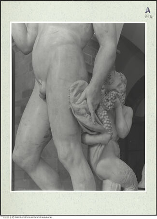 Vorderseite von bh448769_recto