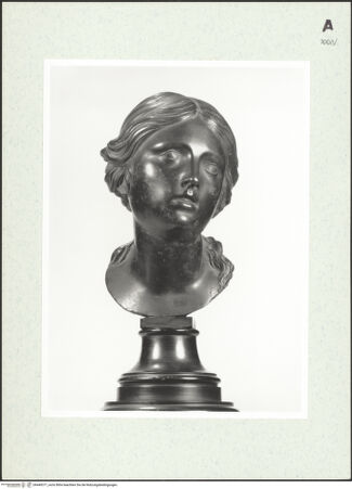 Vorderseite von bh449377_recto