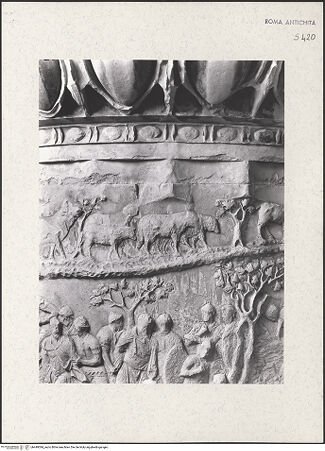 Vorderseite von bh449384_recto