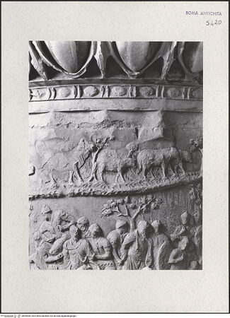 Vorderseite von bh449385_recto