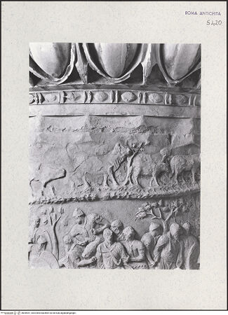 Vorderseite von bh449391_recto