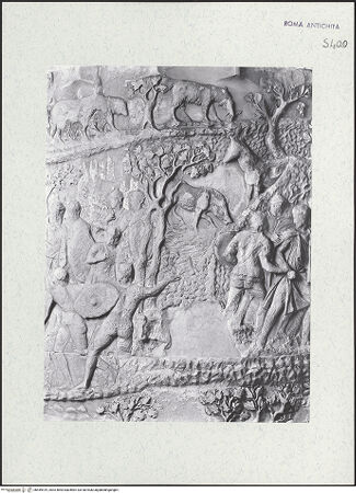 Vorderseite von bh449419_recto