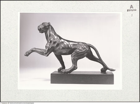 Vorderseite von bh449595_recto