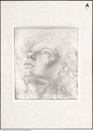 Vorderseite von bh450280_recto