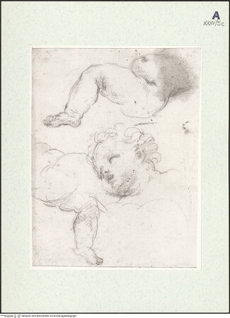 Vorderseite von Museum Kunstpalast [https://www.deutsche-digitale-bibliothek.de/content/lizenzen/rv-ez/] Detailstudien zu Putten auf Wolken - , bh450383_recto. Foto.